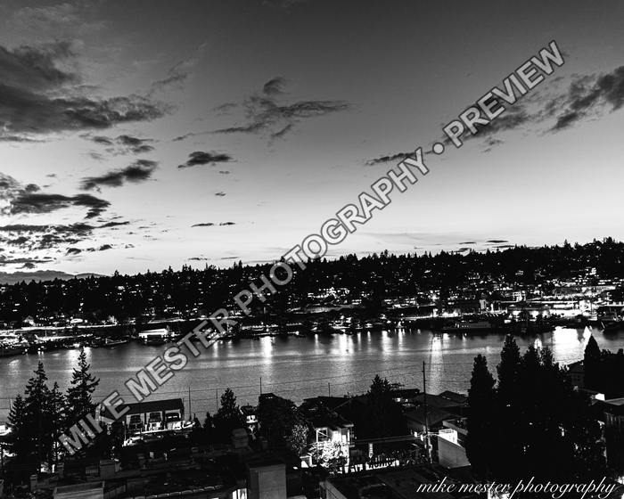 Protected preview of Black-and-White Hillside Lights, an original Mike Mester photograph