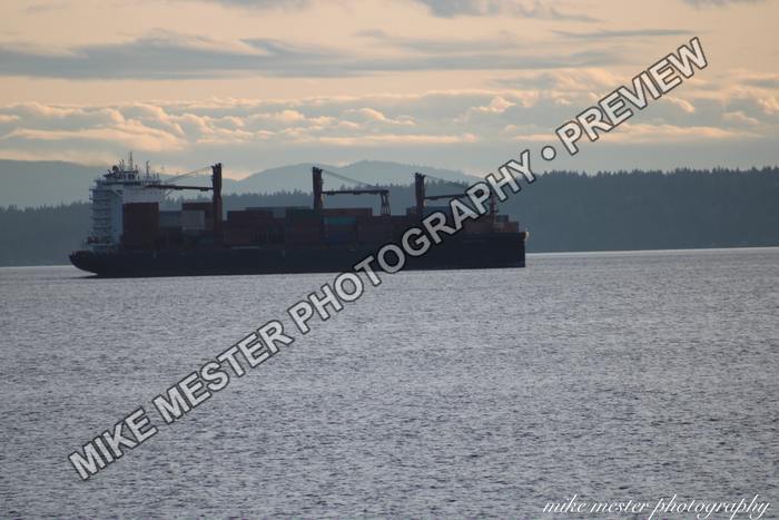 Protected preview of Cargo Ship Across Gray Water, an original Mike Mester photograph