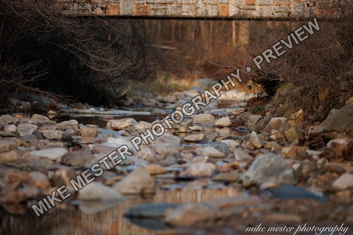 Protected preview of Rocky Creek Through Bare Trees, an original Mike Mester photograph