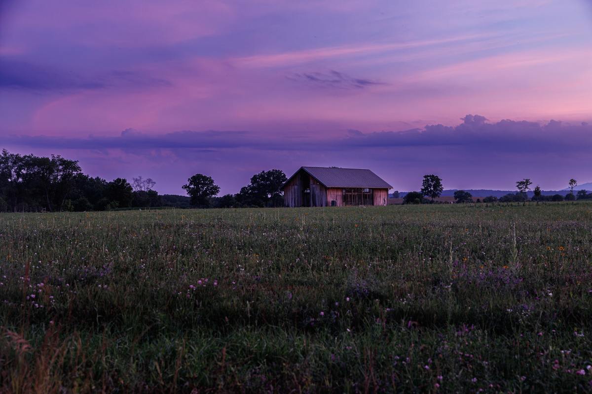 Original photograph by Michael Mester showing a barn and wildflower field beneath a violet and pink evening sky.